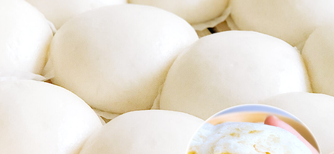 chinese steamed custard bun