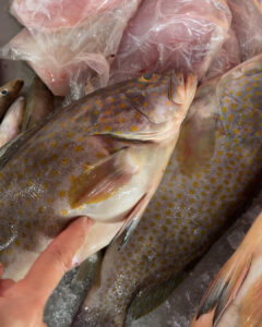 How to Choose Fresh Whole Fish