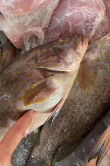 How to Choose Fresh Whole Fish