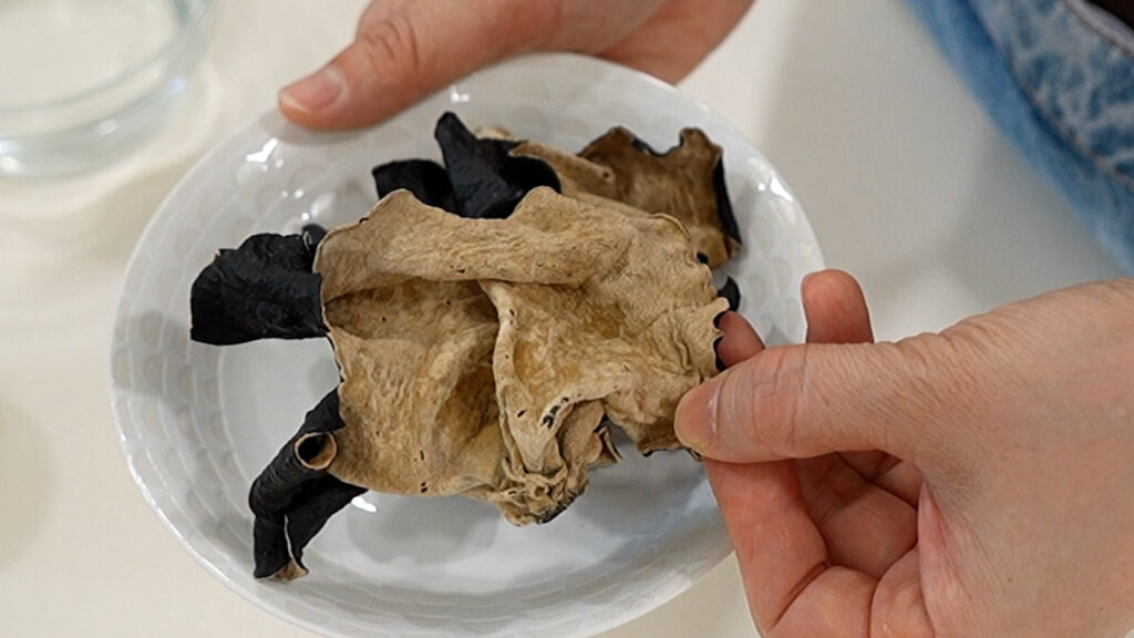 back of black fungus