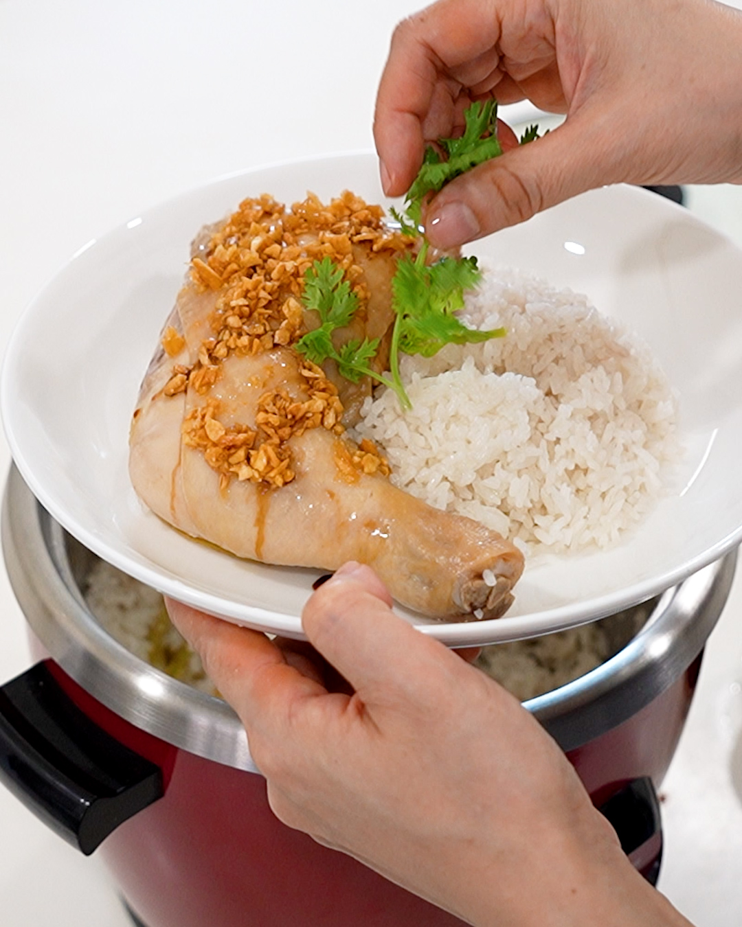 Tender chicken rice served in a bowl with coriander garnish — easy rice cooker recipe