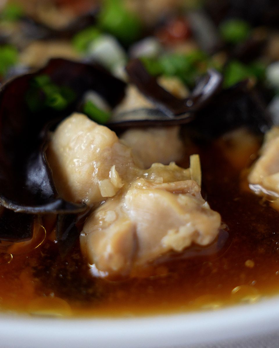 Macro shot of tender steamed chicken with julienned ginger and black fungus in savory sauce