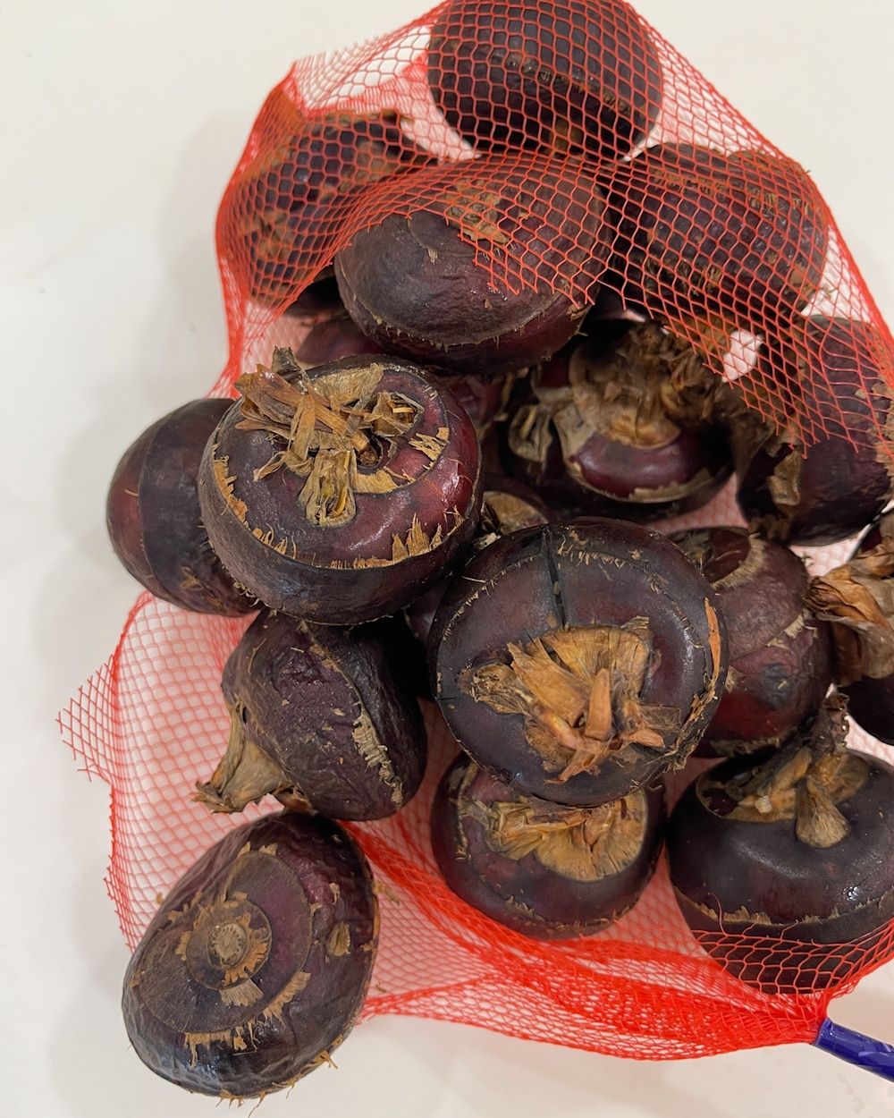 Fresh whole water chestnuts in a mesh bag