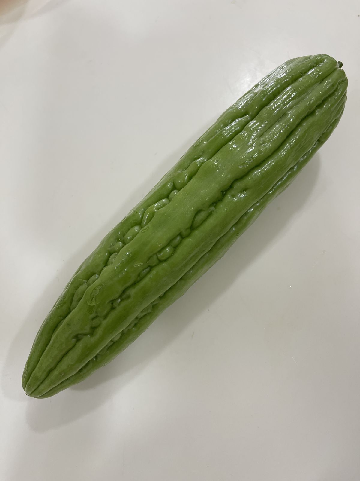 Whole fresh bitter gourd with wide ridges running down the length of its skin